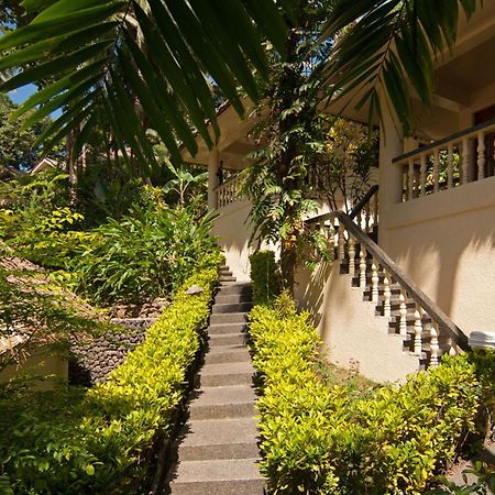 Easy Diving And Beach Resort Sipalay Eksteriør billede